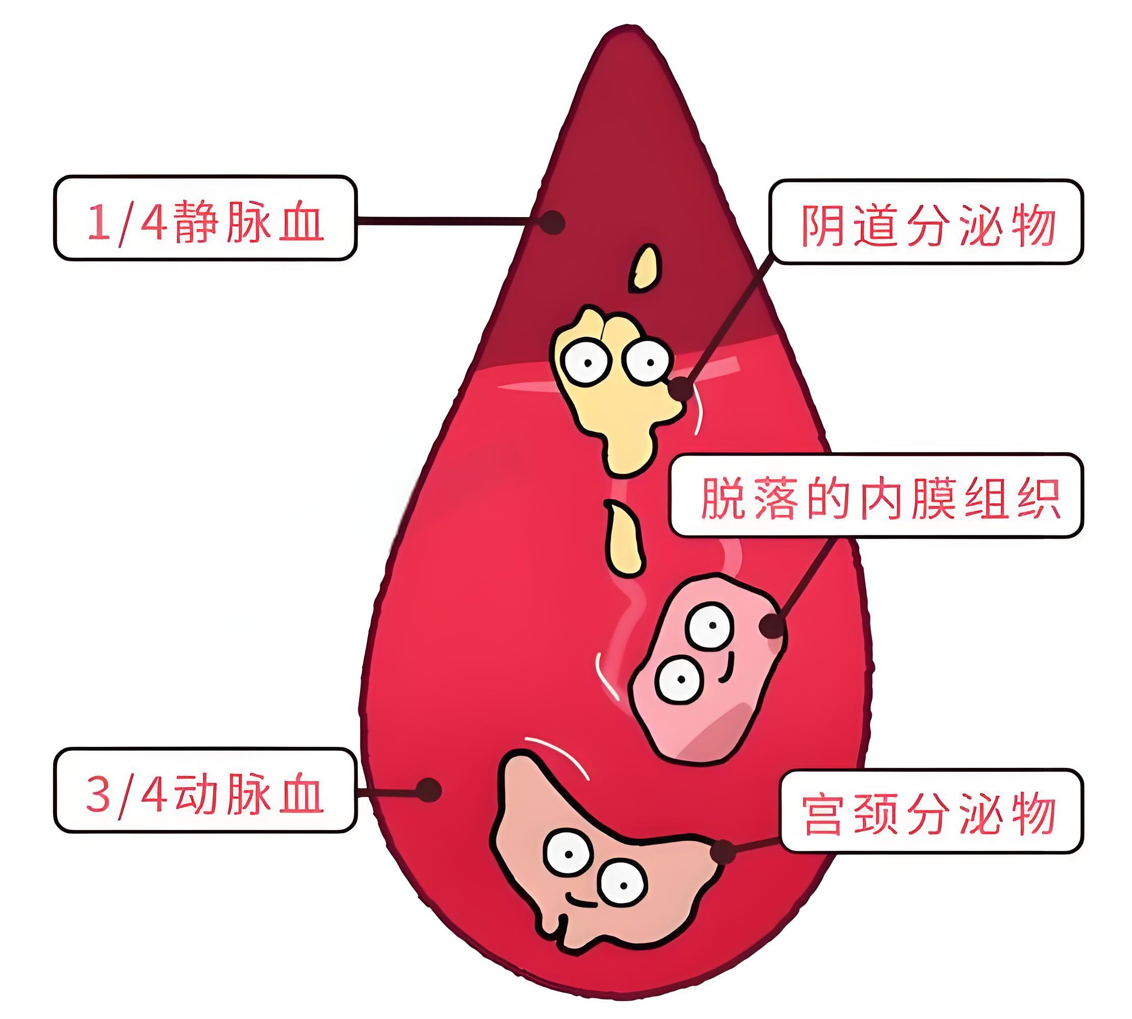 1760402355755284.jpg 1.jpg