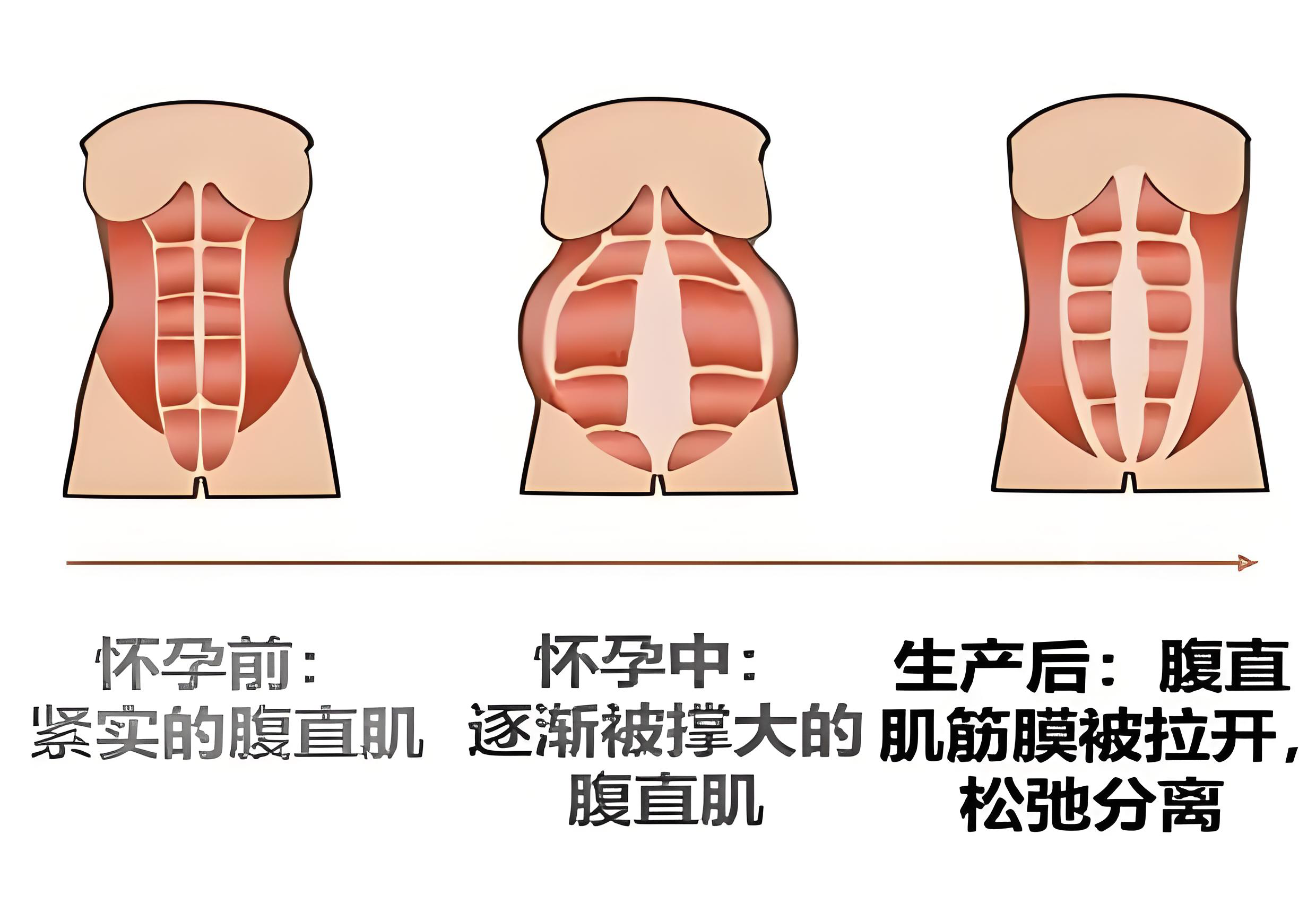 1762823230692629.png 1.png